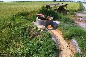 ۳۰۰ حلقه چاه غیرمجاز کشاورزی هفت سال گذشته در یزد مسدود شد
