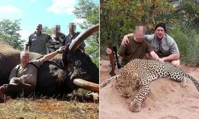 دعوت تاجر انگلیسی برای کشتار جمعی حیوانات