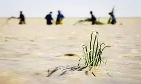 تالاب هامون نقش حیاتی در زندگی مردم منطقه سیستان دارد