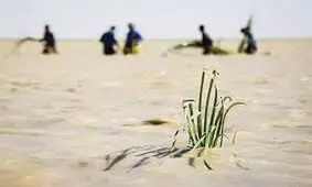 تالاب هامون نقش حیاتی در زندگی مردم منطقه سیستان دارد