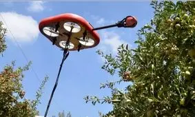 ربات پرنده‌ای که میوه می‌چیند