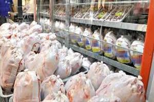 قیمت مرغ در خوزستان ثابت نیست/ نیاز بنادر استان به روزی۳۰۰۰ کامیون