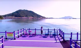 جزیره‌ای به رنگ بنفش؛ با گل‌های ارغوانی