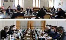 دیدار ظریف و مدیرکل آژانس بین المللی انرژی اتمی