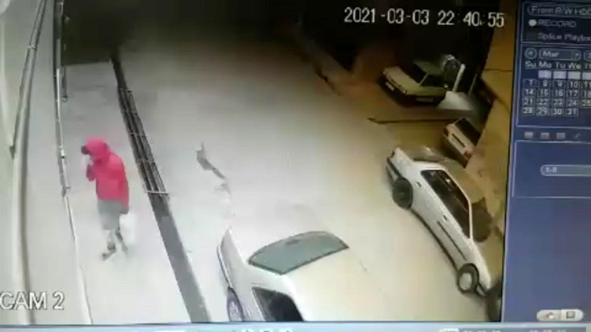 ثبت یک سرقت عجیب دیگر در صالحیه/ این دزد به دنبال کفش بود!/ ویدئو