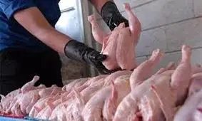 ورود ۲۰۰ تن مرغ منجمد به قم/ نظارت و بازرسی‌ها در بازار مرغ تشدید می‌شود