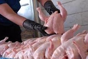 ورود ۲۰۰ تن مرغ منجمد به قم/ نظارت و بازرسی‌ها در بازار مرغ تشدید می‌شود