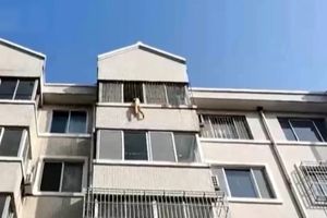 نجات کودک ۵ ساله که از پنجره آویزان شده بود/ ویدئو