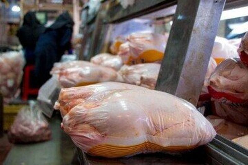 انحراف شدید در توزیع مرغ/ صدور حوالههای سنگین بدون نظارت