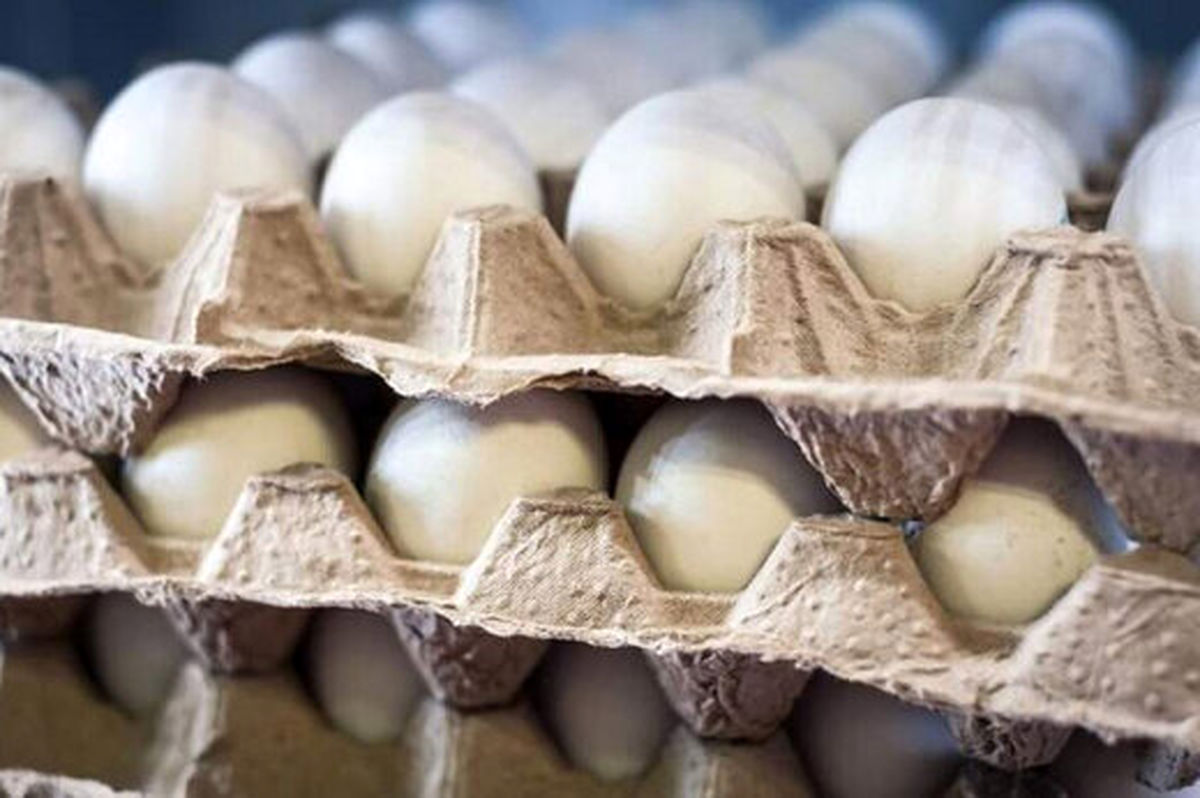 هشدار وزارت بهداشت؛ این نوع تخم‌مرغ‌ها در معرض کرونا هستند