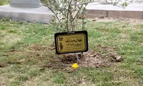 در سینما و تئاتر چه خبر است؟