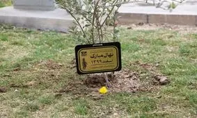 در سینما و تئاتر چه خبر است؟