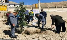 سرزندگی زاگرس خون بهای البرز