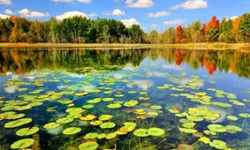 حال تالاب انزلی خوب نیست