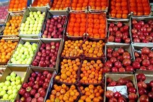 میوه شب عید از ۲۵ اسفند در ۳۰ نقطه شهر کرمان توزیع می‌شود