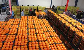 وزیر صمت: هیچ مشکلی در تأمین کالاهای اساسی نیست