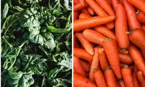 رژیم غذایی برای کاهش سرطان پوست