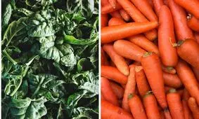 رژیم غذایی برای کاهش سرطان پوست