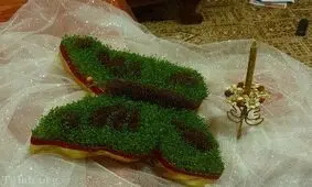 روش کاشت و تزئین سبزه عید با ۲ رنگ متفاوت