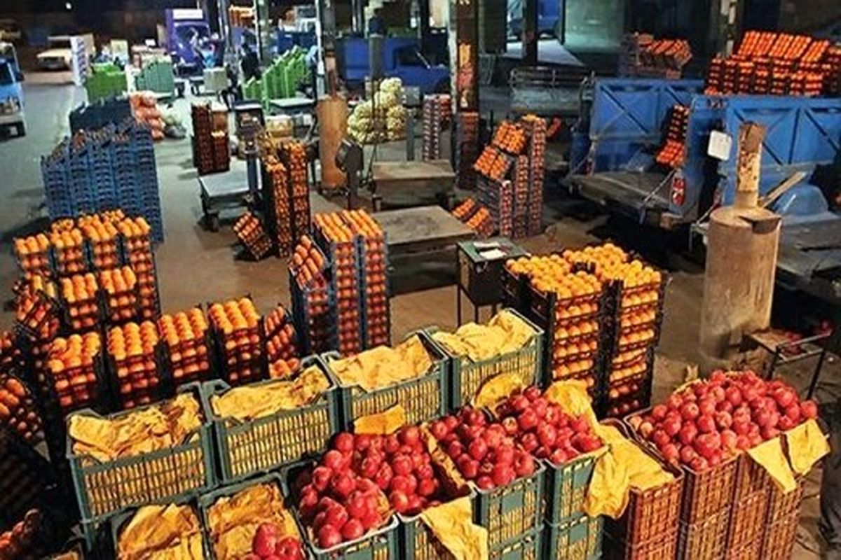 افزایش ۲ برابری قیمت میوه از میدان تا مغازه