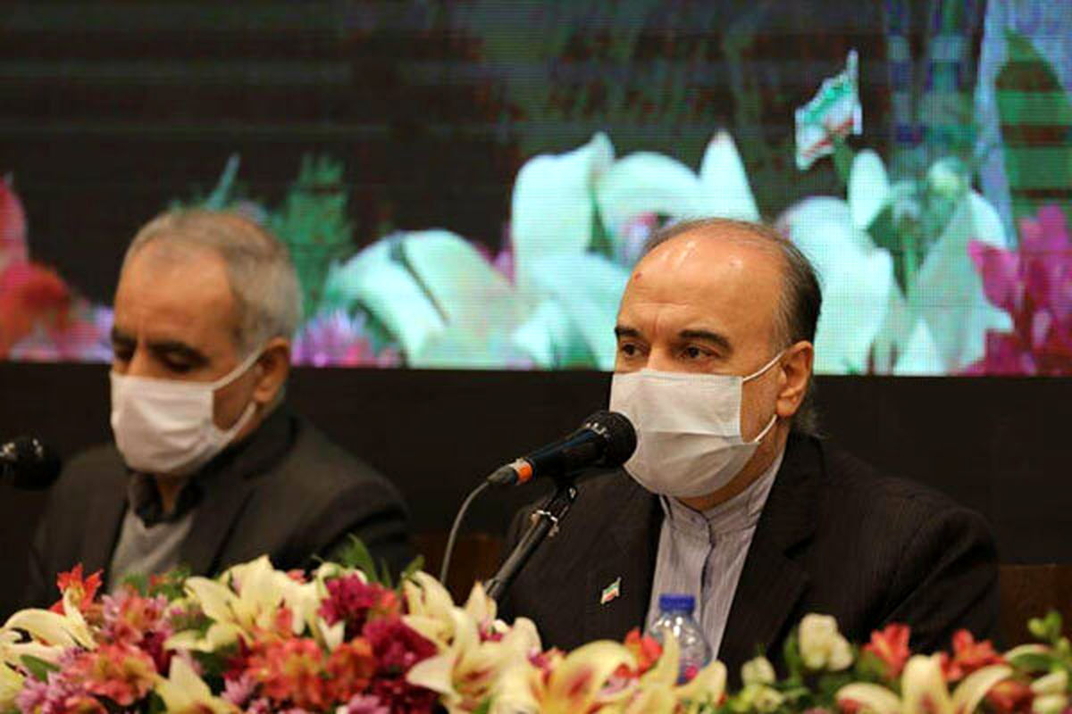 سلطانیفر: از همه ظرفیتهای حقوقی برای پرونده ویلموتس استفاده شد