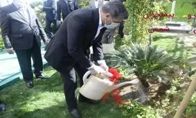 خبر خوش مدیرعامل بانک صادرات ایران برای سهامداران بانک در روز درختکاری