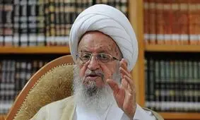 آیت الله مکارم شیرازی: این دلال ها چه کسانی هستند که زور دستگاه قضا و دولت به آنها نمی رسد