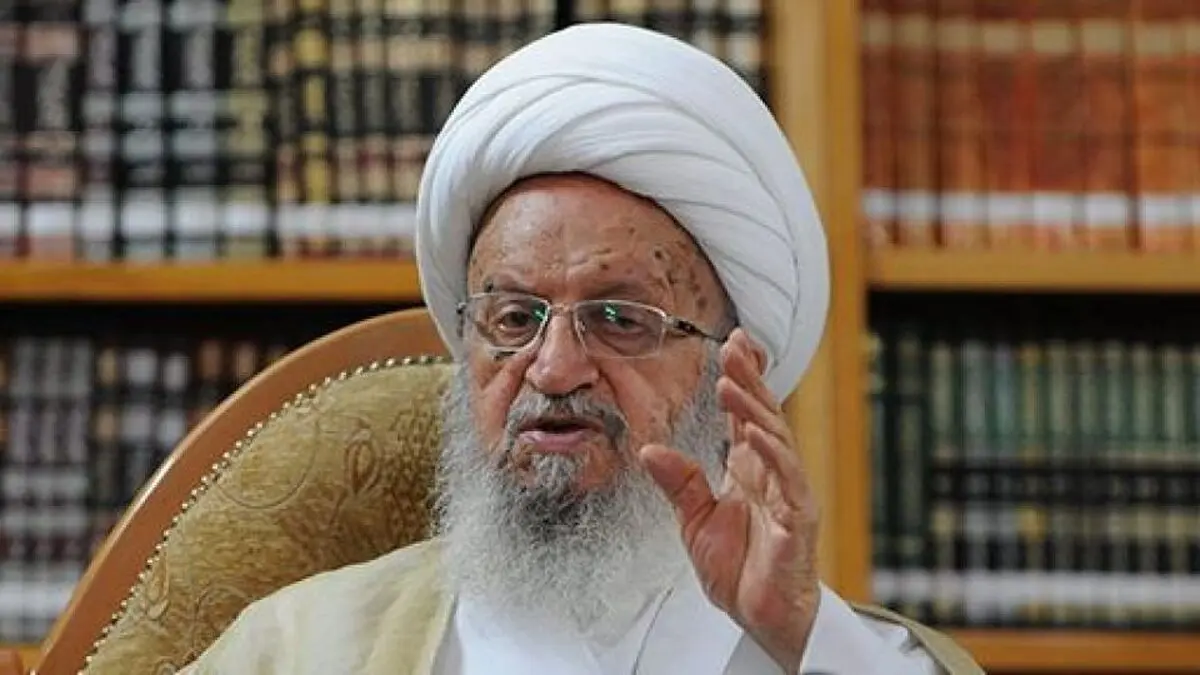 آیت الله مکارم شیرازی: این دلال ها چه کسانی هستند که زور دستگاه قضا و دولت به آنها نمی رسد