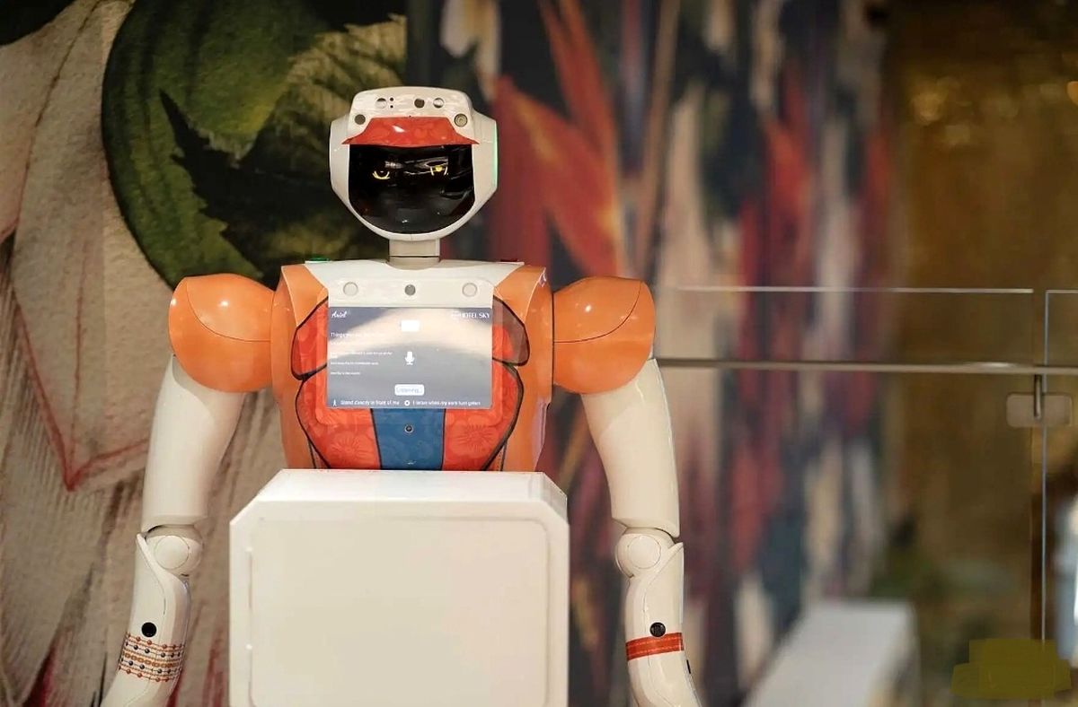 اولین هتل رباتیک آفریقای جنوبی افتتاح شد