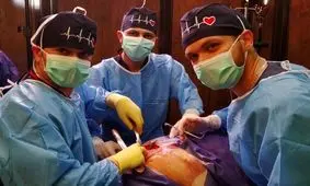 پروتز مفصل حیوانات در یزد ساخته شد