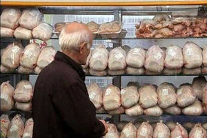 نگاهی به فراز و فرود وضعیت گوشت مرغ در بازار خراسان رضوی