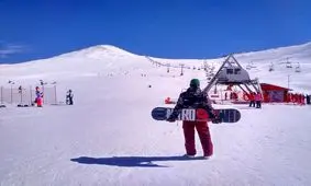 حمله خرس قهوه‌ای به پیست اسکی و وحشت اسکی بازان/ ویدئو