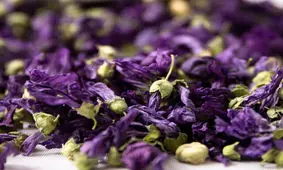 توقیف محموله‌ی گل‌های قاچاق در بافق