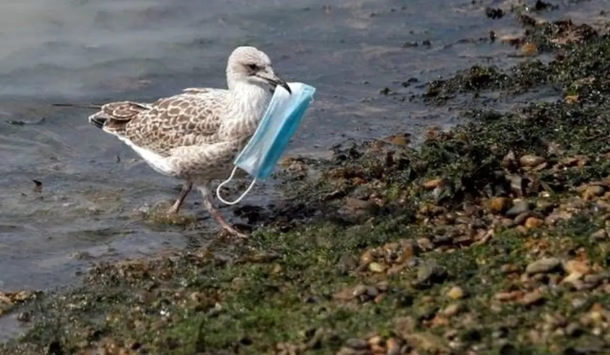 چالش‌هایی که بحران کرونا برای بهداشت محیط ایران ایجاد کرد