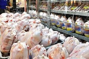 فروش مرغ تنظیم بازار به رستوران‌های قزوین ممنوع شد