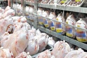 استانداری تهران: عرضه مرغ ۳ برابر شد/ برای ۵۰ درصد از خرده‌فروشان متخلف پرونده تشکیل شد