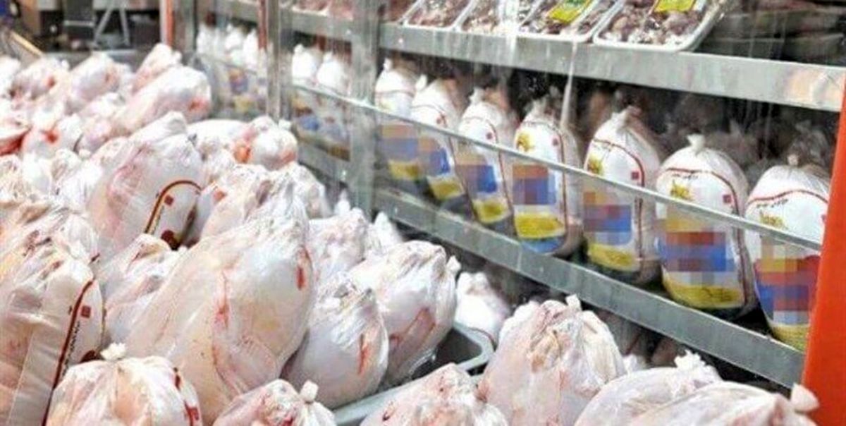 استانداری تهران: عرضه مرغ ۳ برابر شد/ برای ۵۰ درصد از خرده‌فروشان متخلف پرونده تشکیل شد