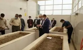 کشت دو واریته جدید در موسسه تحقیقات توسعه نیشکر