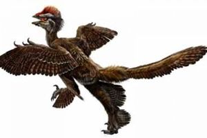فسیل ۷۱ میلیون ساله پرنده ای به اندازه انسان کشف شد