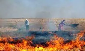 لزوم برخورد دستگاه قضایی با آتش زنندگان کاه و کلش مزارع در دزفول
