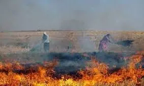 لزوم برخورد دستگاه قضایی با آتش زنندگان کاه و کلش مزارع در دزفول