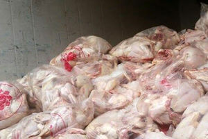 توزیع مرغ منجمد با قیمت ۱۵ هزار و ۵۰۰ تومان در بازار