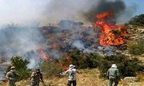 «سیزده بدر» در خانه بمانیم/ در طبیعت آتش روشن نکنید