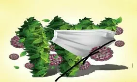 حکایت ۱۳ بدر متفاوت ایلامی‌ها