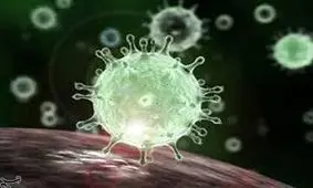 موج چهارم شیوع کرونا در استان قزوین آغاز شد