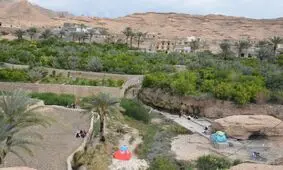 ورود به تفرجگاه‌ها و بوستان‌های خراسان جنوبی در روز طبیعت ممنوع است