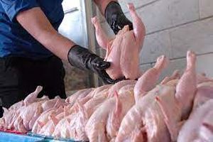 افزایش ۴۵۰۰ تومانی قیمت مصوب مرغ/ کیلویی ۲۴ هزار و ۹۰۰ تومان