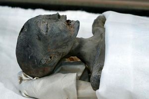 رژه اجساد مومیایی در مصر/ «بدشگونی فراعنه» پس از یک قرن بر سر زبان‌ها افتاد