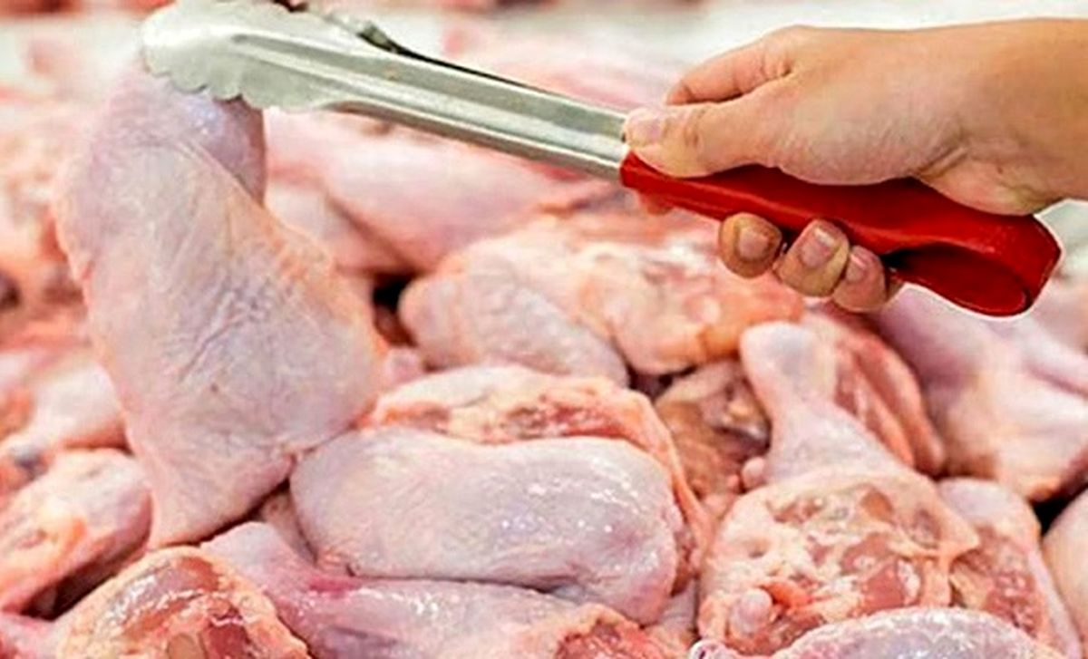 فروش مرغ تکهای ممنوع شد