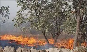 دستگیری چهار متخلف آتش‌سوزی در کوهدشت